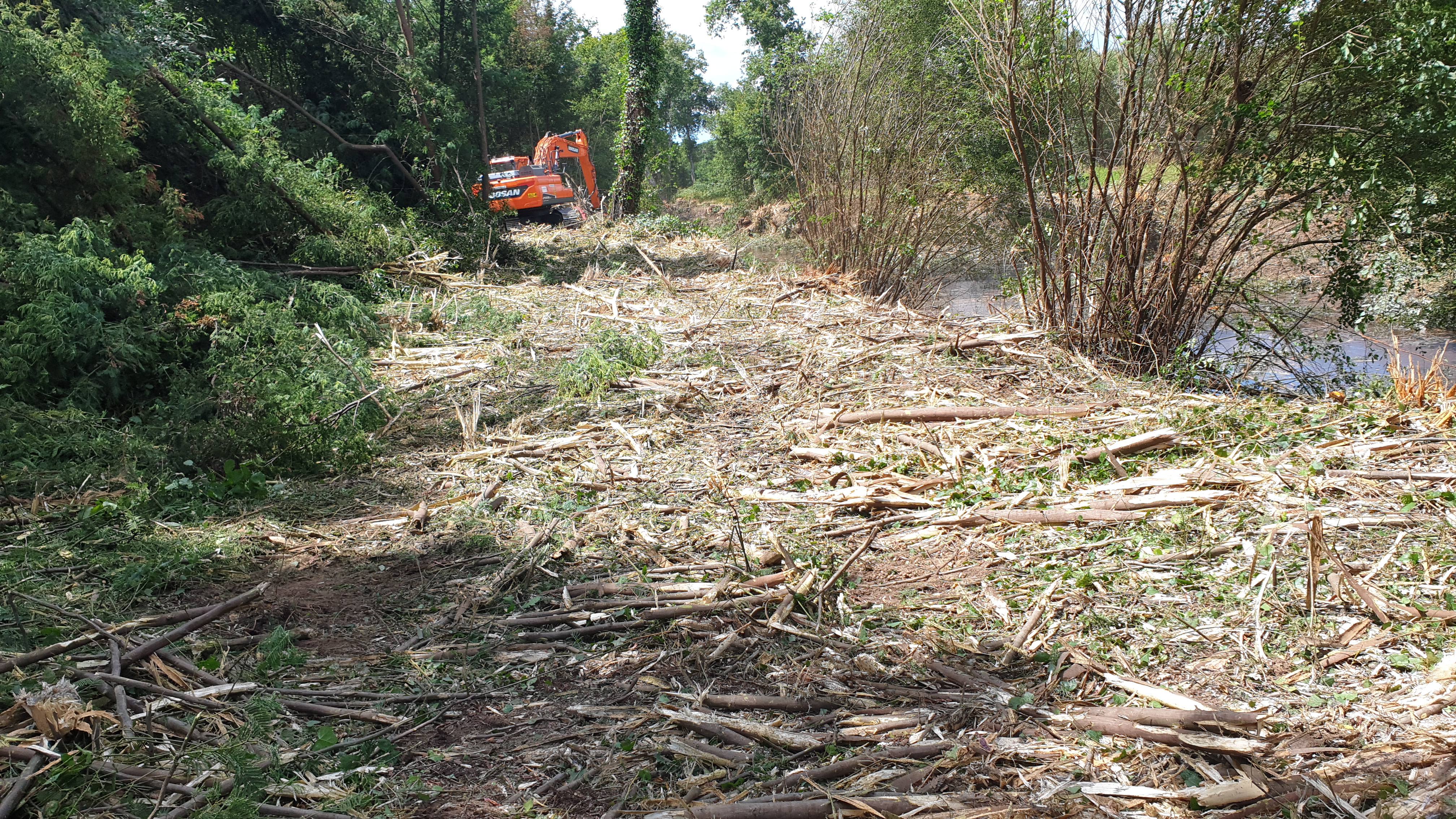 Requalificação das Margens do Rio Vouga